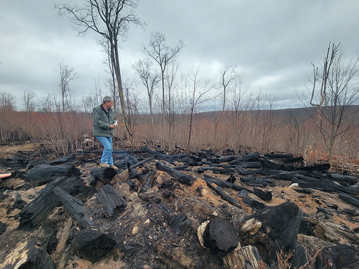 DCNR burn - Shin Hollow